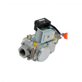 Lochinvar & A.O. Smith 100187876 Natural and LP Gas Valve Assembly