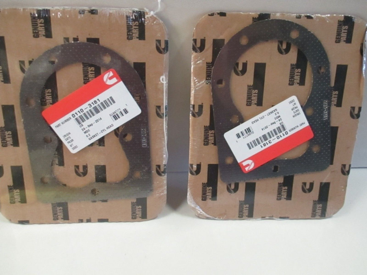 2 Pack Genuine Onan 110-3181 Head Gasket Fits B & P Series OEM