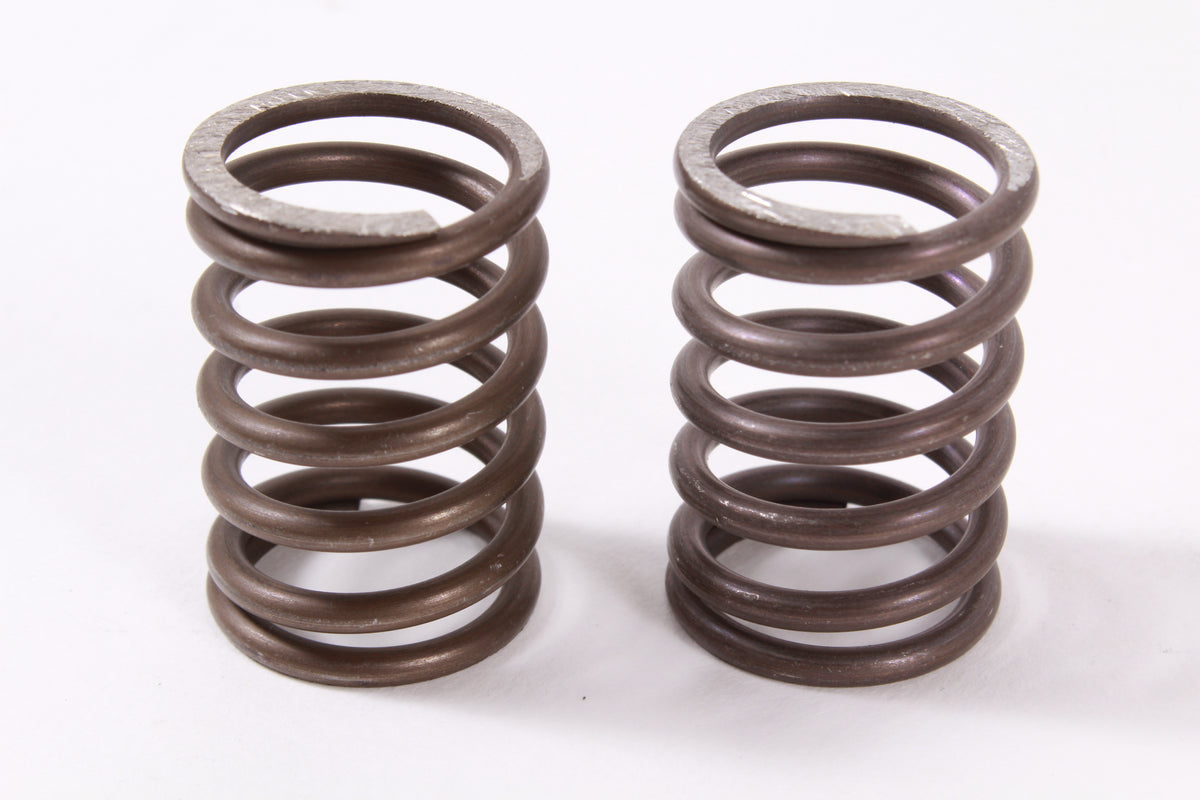 2 Pack Genuine Robin Subaru 246-33611-03 Valve Spring OEM