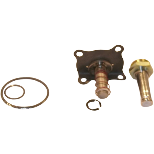 ASCO 316-233 Rebuild Kit for Solenoid Valve Restoration