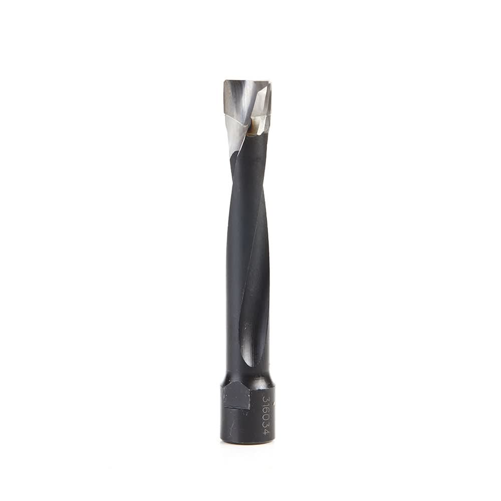 Amana Tools 316034 Festool Domino 700 XL 12mm Double-Flute Carbide Tipped Bit