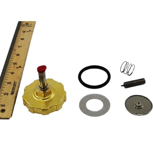 ASCO 323-480 Rebuild Kit