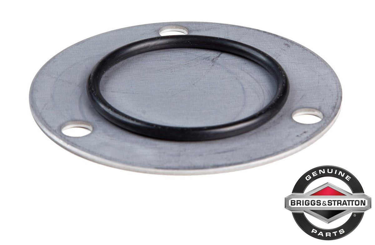 Genuine Briggs & Stratton 499613 Oil Pump Cover OEM