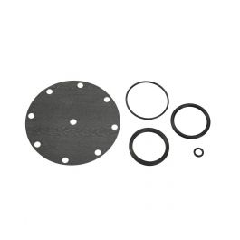 Watts 5346-01 2" Repair Kit 116XY