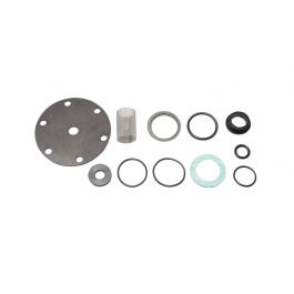 Watts 864943 3/4" Repair Kit 25 AUB-RK