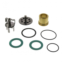 Watts 886010 Repair Kit RK 9DM2-T 9D-Series