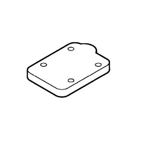P003002160 PLATE PASSAGE ECHO Genuine OEM Part