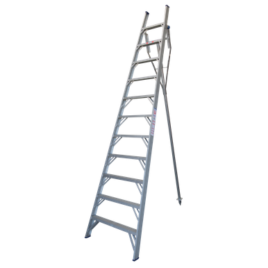 INDALEX AL 150KG Pro Series Orchard Ladder 3.7M - PROT12