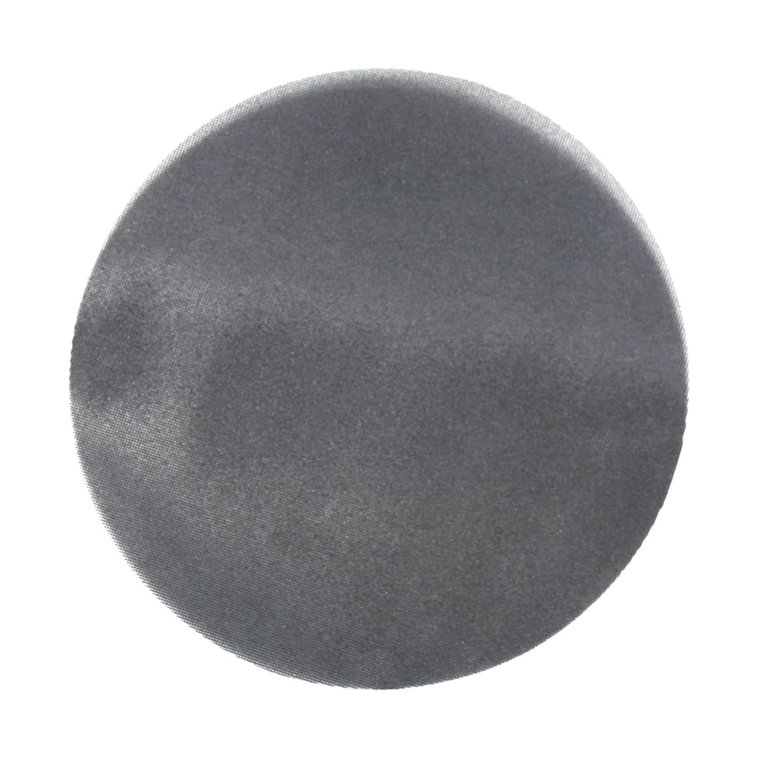 Avanti PCE170080E01G 17 in. 80 Grit Sanding Screen