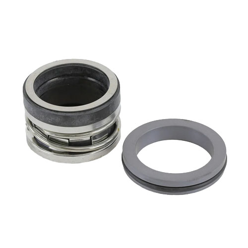 Bell & Gossett P5001889 Seal Kit, Standard